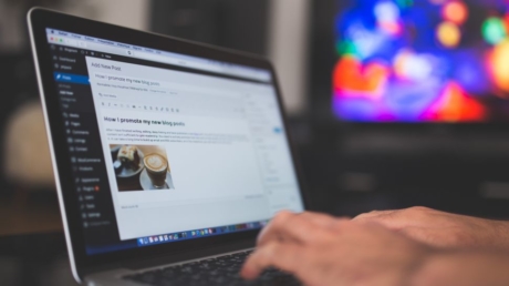 WordPress Vulnerabilities Exposed