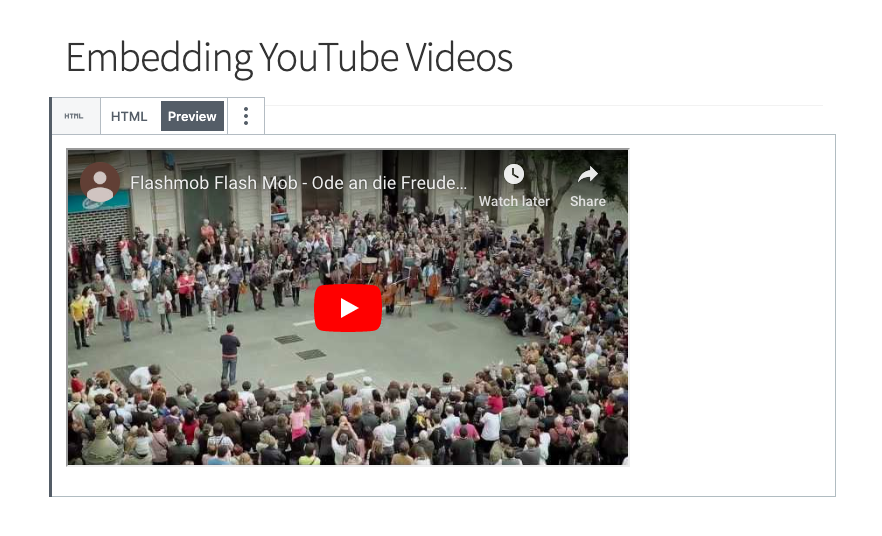 embed-custom-html-preview