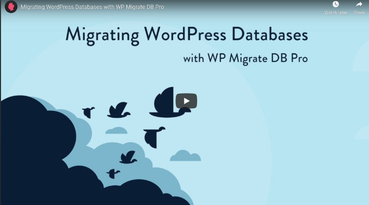 WP Migrate DB-free WordPress migration plugin