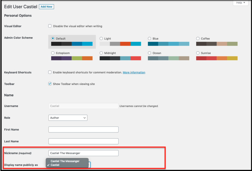 Update authors display name