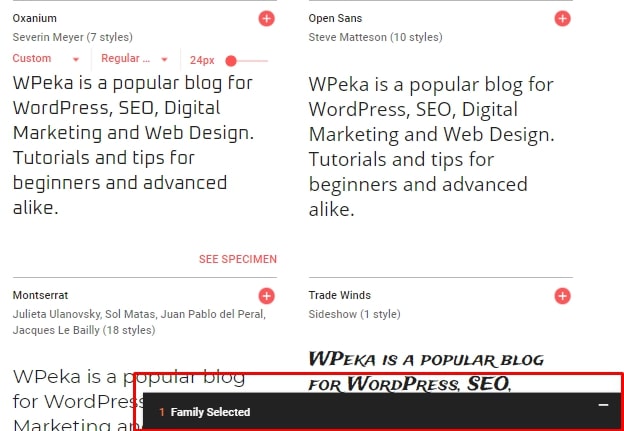 Google Font for WordPress Site