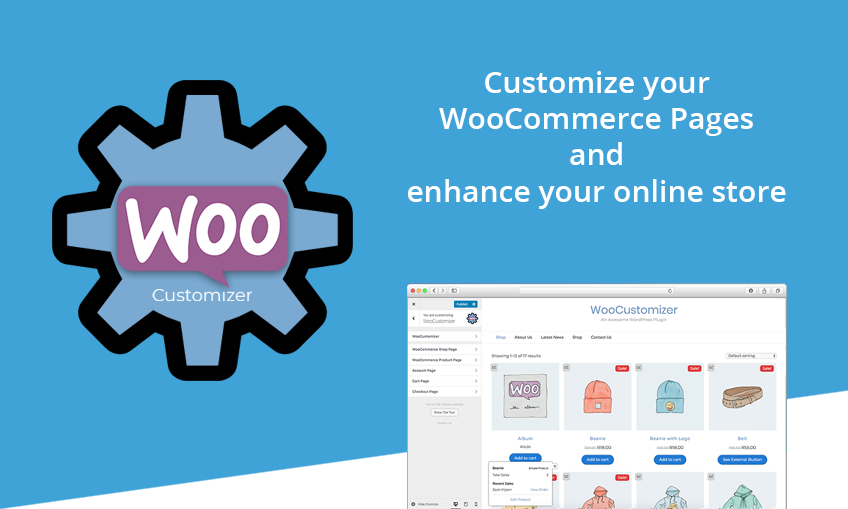 WooCustomizer