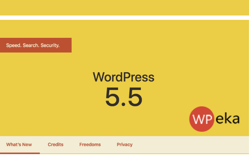 WordPress 5.5 new features: What to expect?