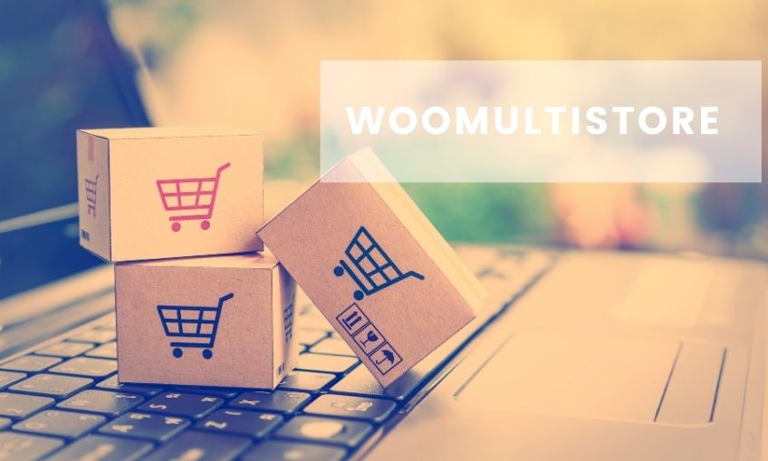 WooMultistore: A WooCommerce Multistore Plugin