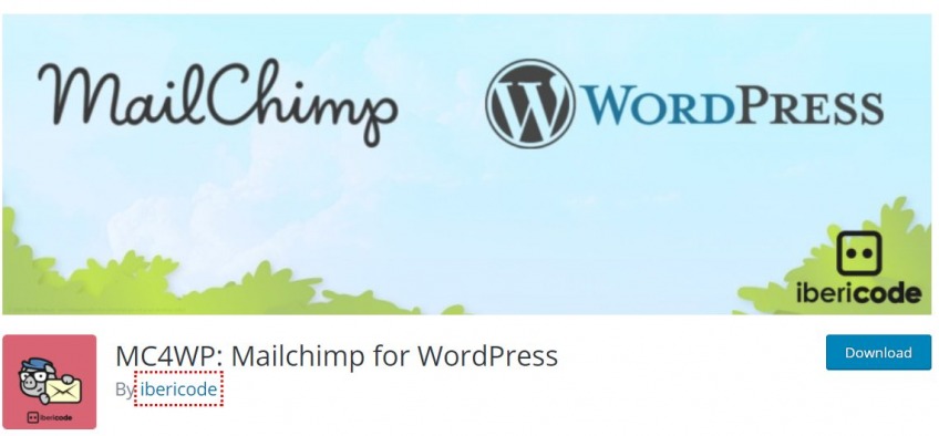 Best WordPress extensions- Mailchimp