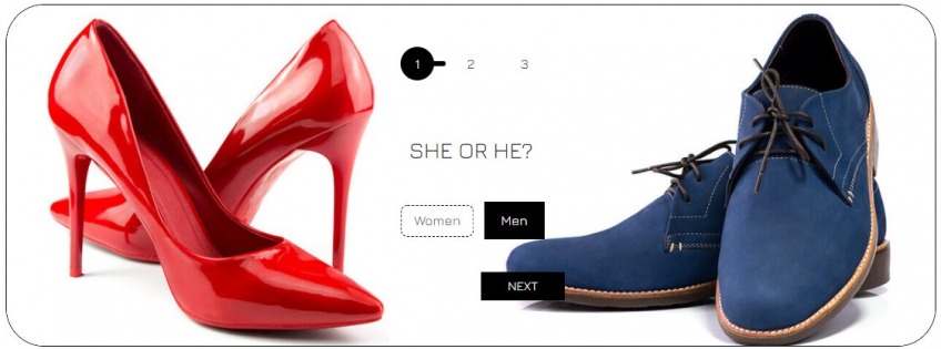 Growanizer- interactive form example 1