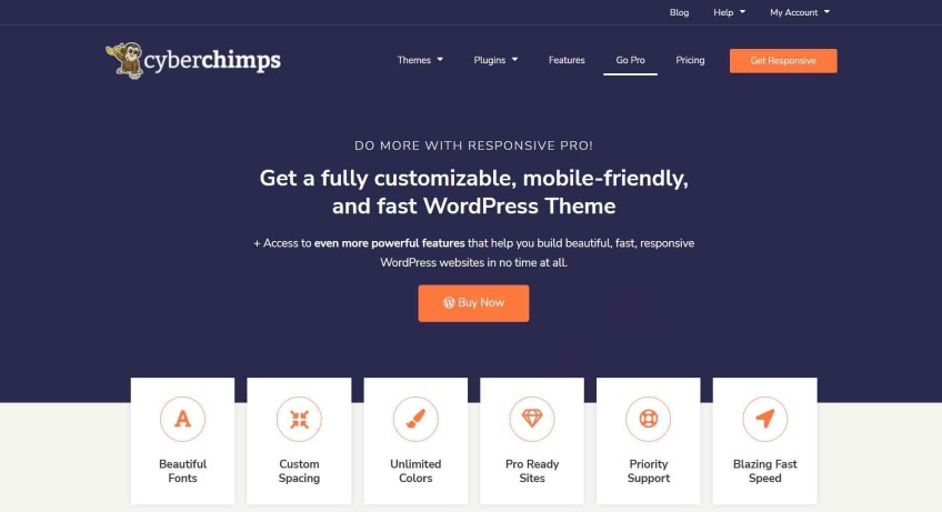 Buy Responsive Pro WordPress Theme