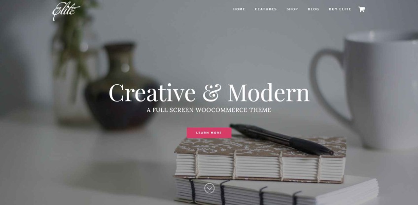 Elite WordPress Theme