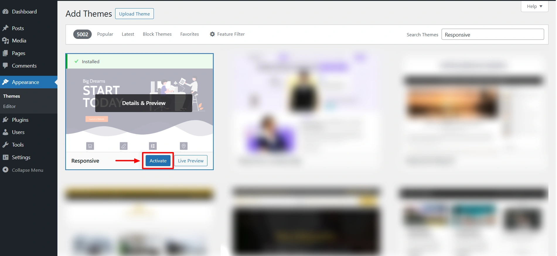 Activate Responsive Theme