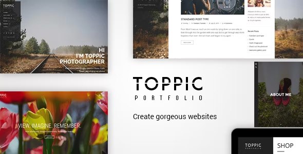 toppic WordPress theme