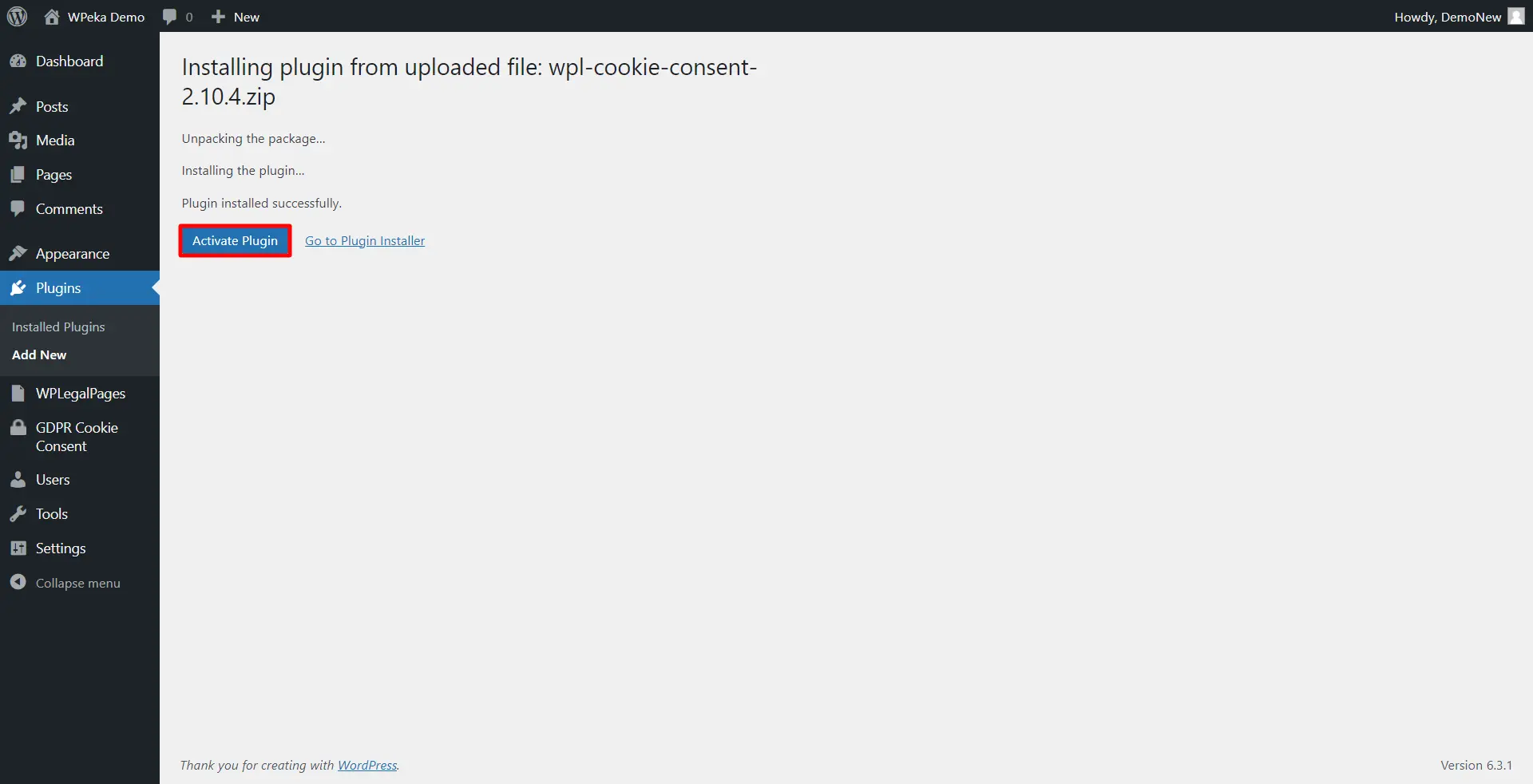 click Activate Plugin