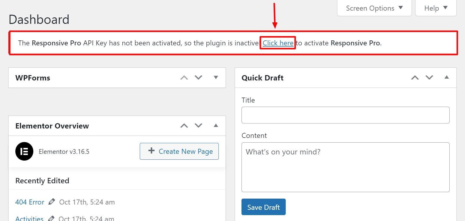 Enter the Responsive Pro API Key