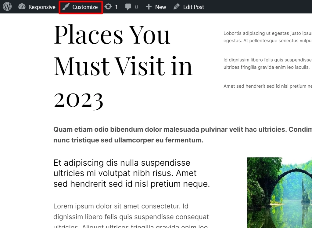 Customize Responsive theme