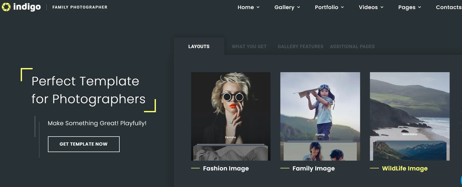 Indigo starter template