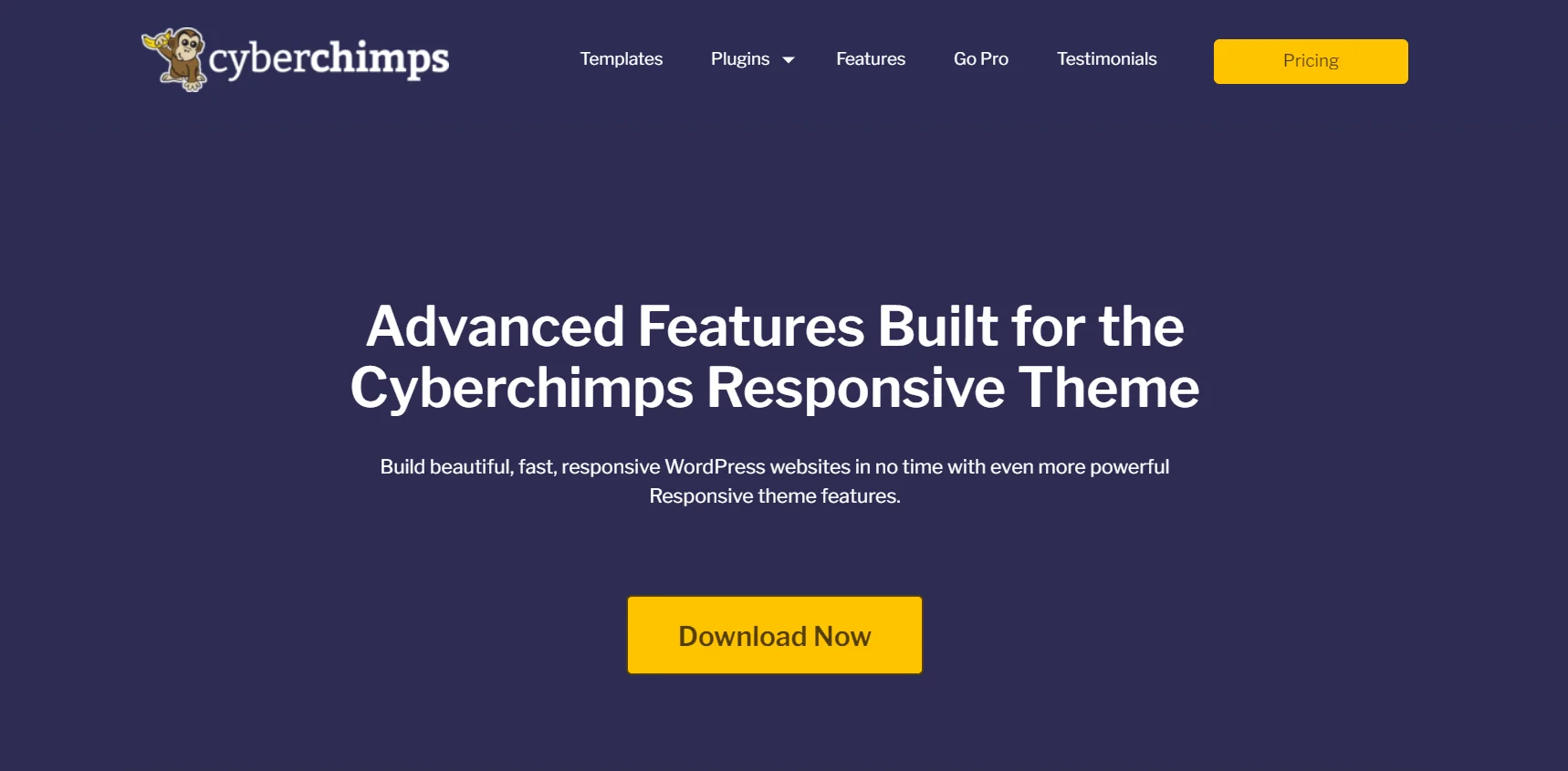 Responsive Plus- Starter Templates