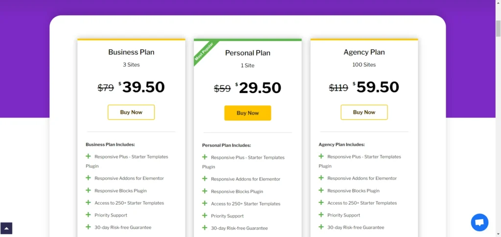 Cyberchimps Responsive platform pricing