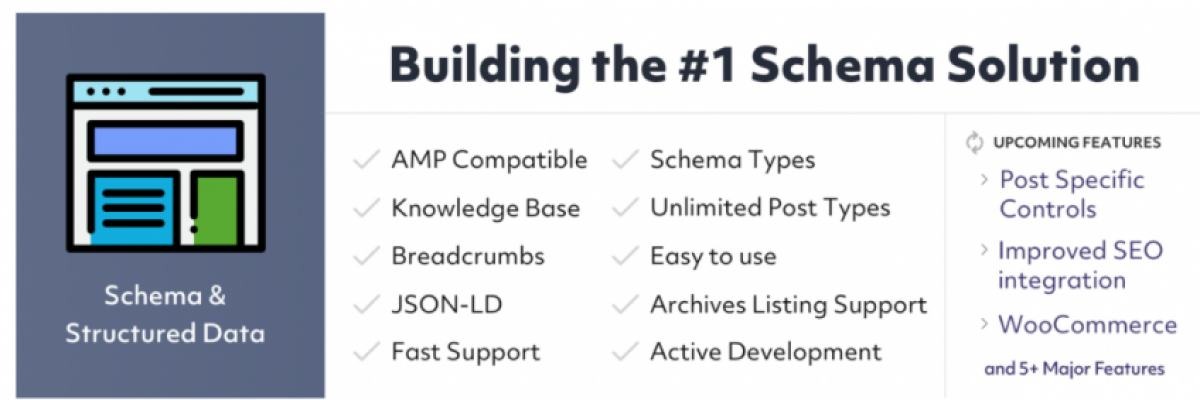 Best-WordPress-AMP-Plugin3 Schema- Best WordPress amp plugin